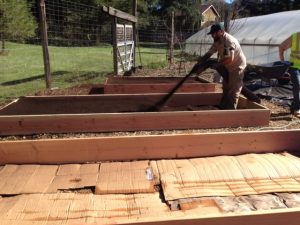 Albert from Lane Forest blowing in soil to a raised garden bed.