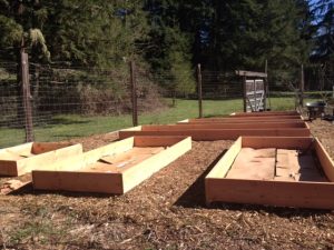 Empty Raised Beds