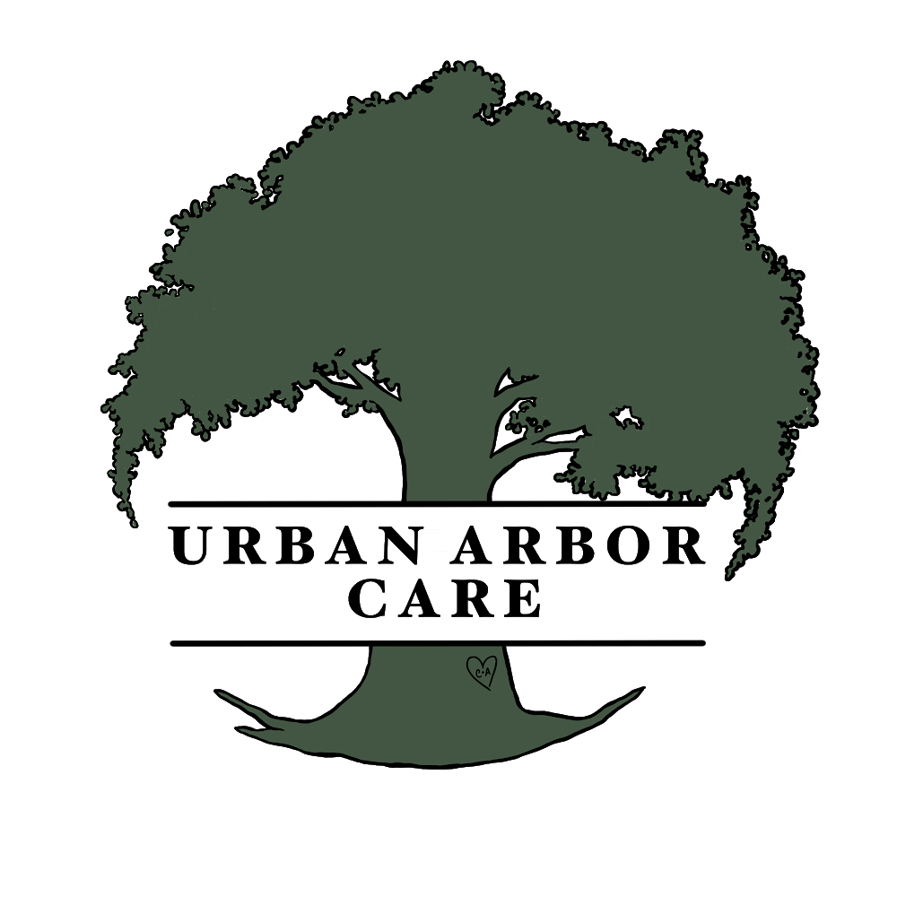 Urban Arbor Care LLC Lane Forest Products