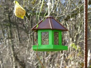 winter-bird-feeder