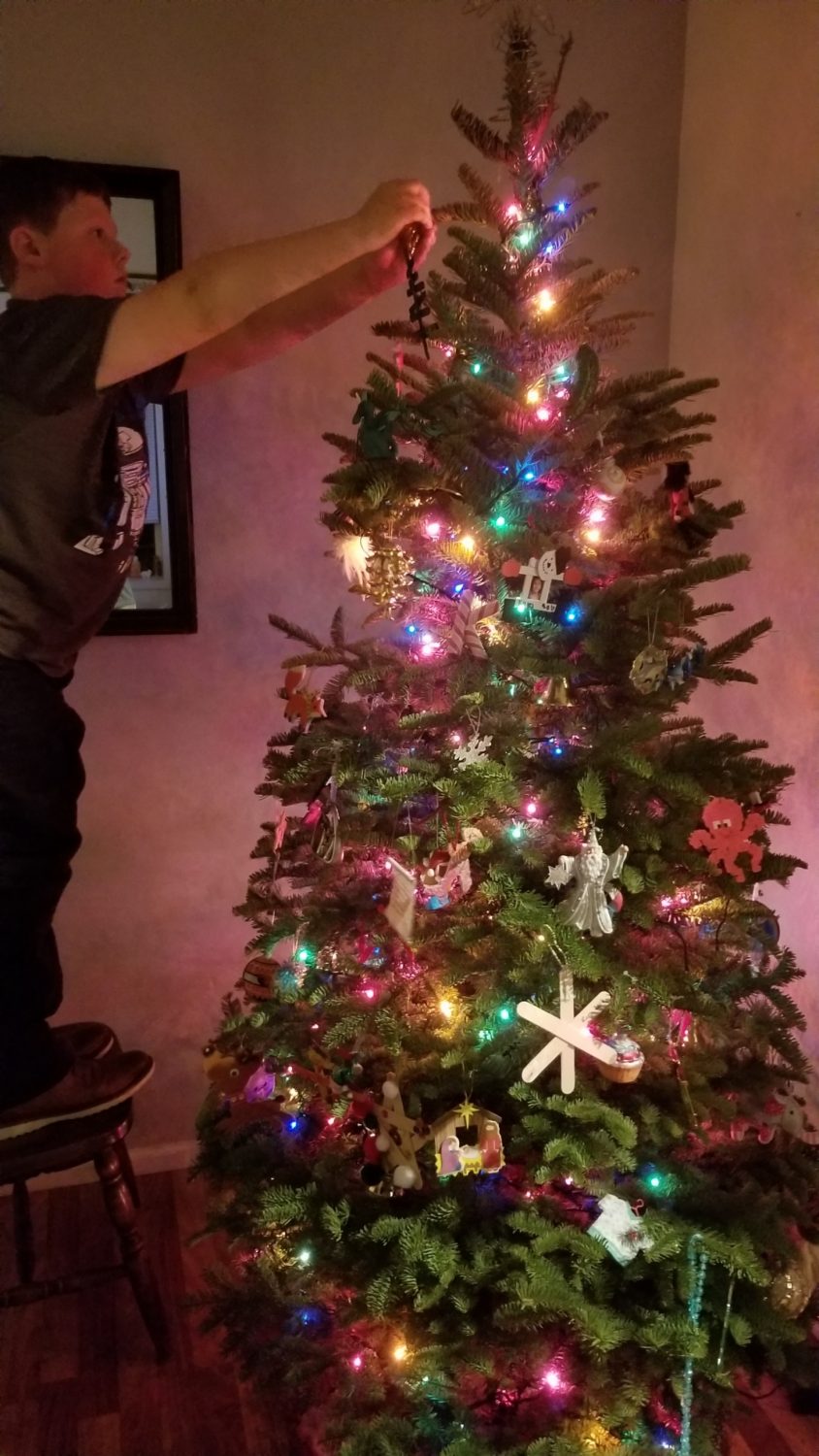 Christmas Trees | Lane Forest Products